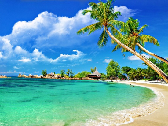 Zarobek Na Zakupach